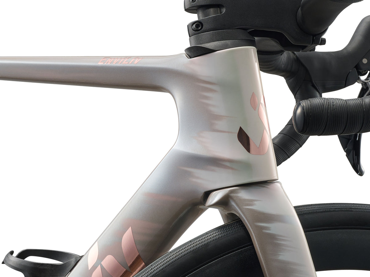 Liv Enviliv Advanced 2