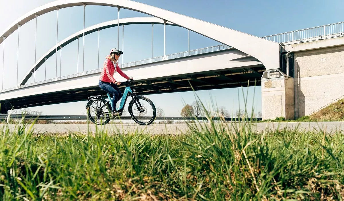 Victoria eParcours Wave 12.9 Damen E-Bike